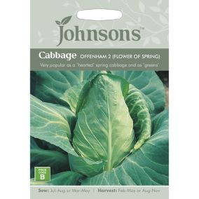 Offenham 2 (Flower of Spring) Cabbage Seed