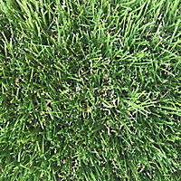 Olive High density Artificial grass Sample (L)0.24m (W)0.17m (T)47mm