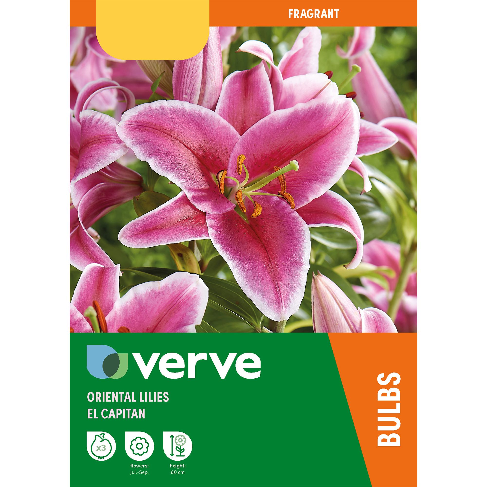 ORIENTAL LILY EL CAPITAN