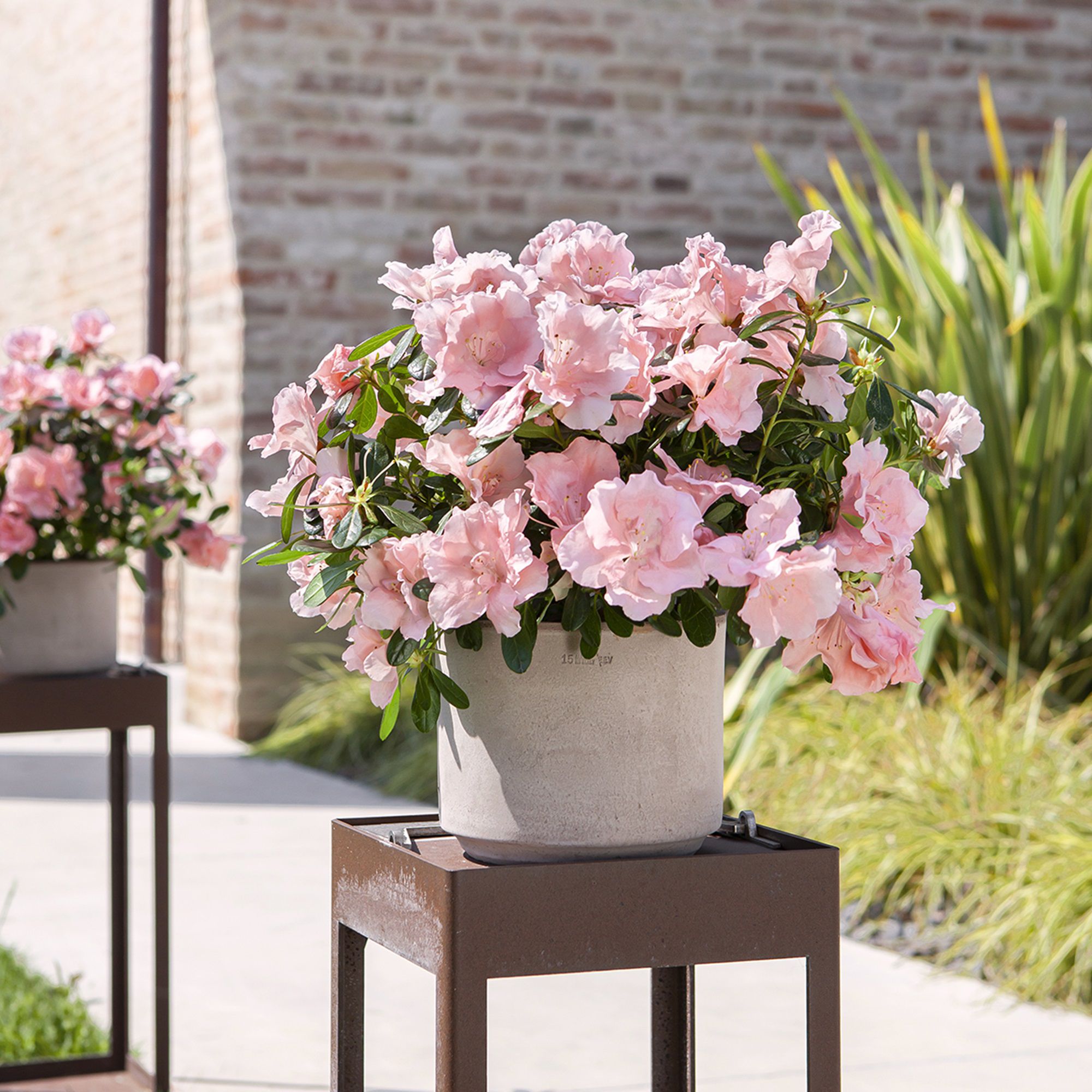 Outdoor Pot Matt Neutral Terracotta Plant pot (Dia) 25cm, (H)20.5cm, 7.8L