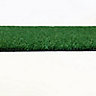 Padstow Low density Artificial grass (L)2m (W)2m (T)6.5mm