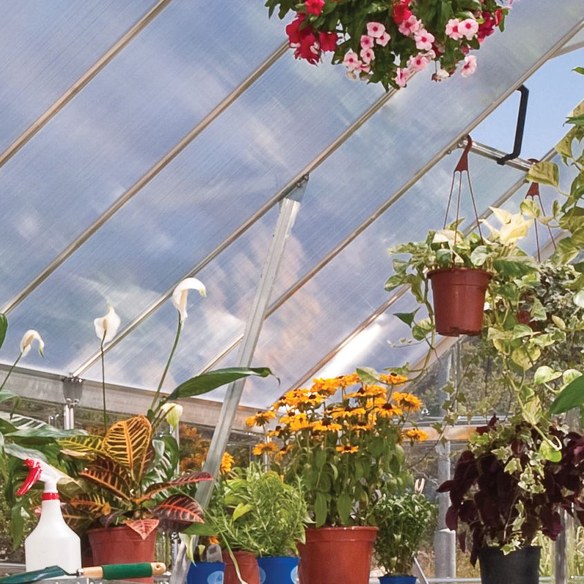 Palram Balance Silver 8x12 Greenhouse