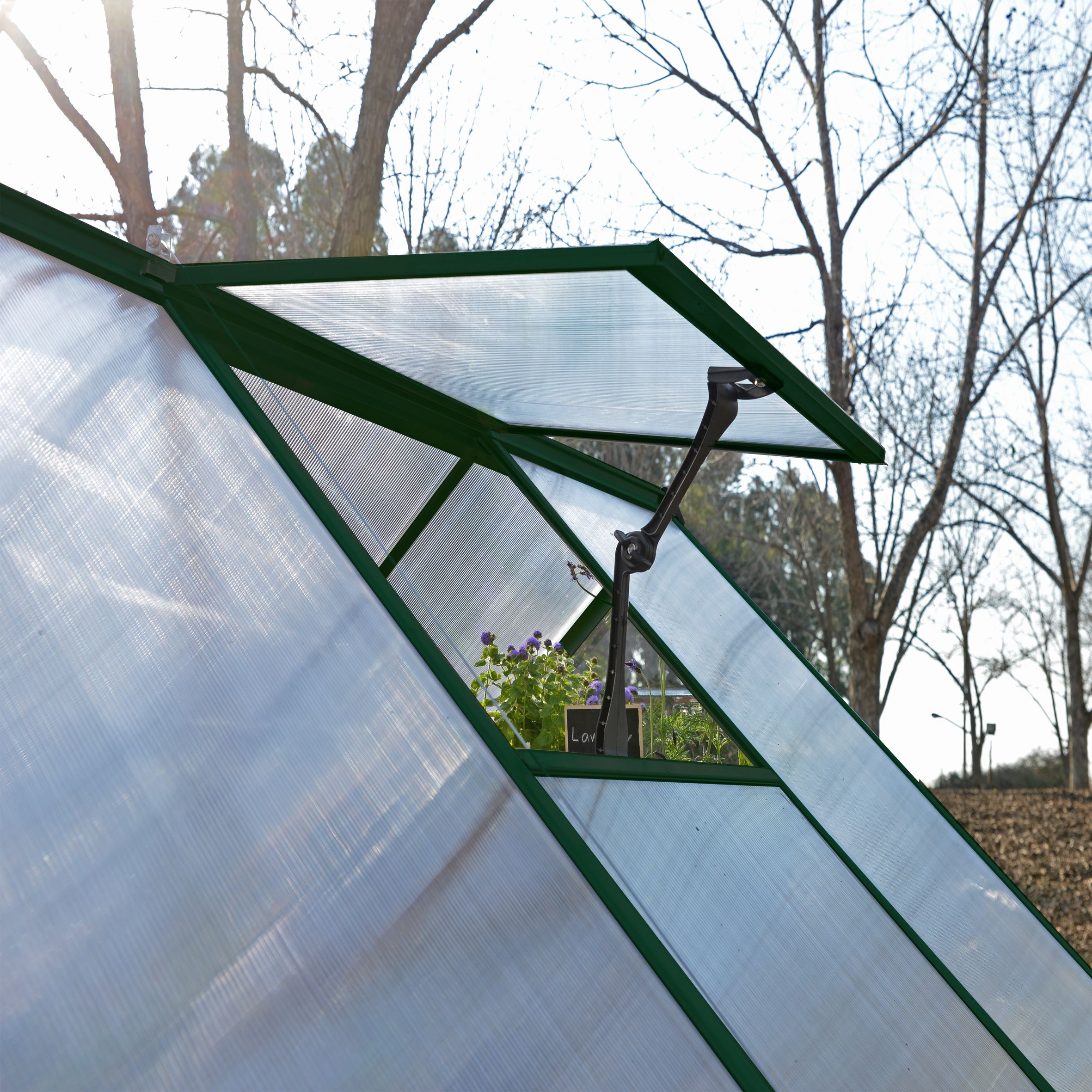 Palram - Canopia Balance Green 8x16 Greenhouse