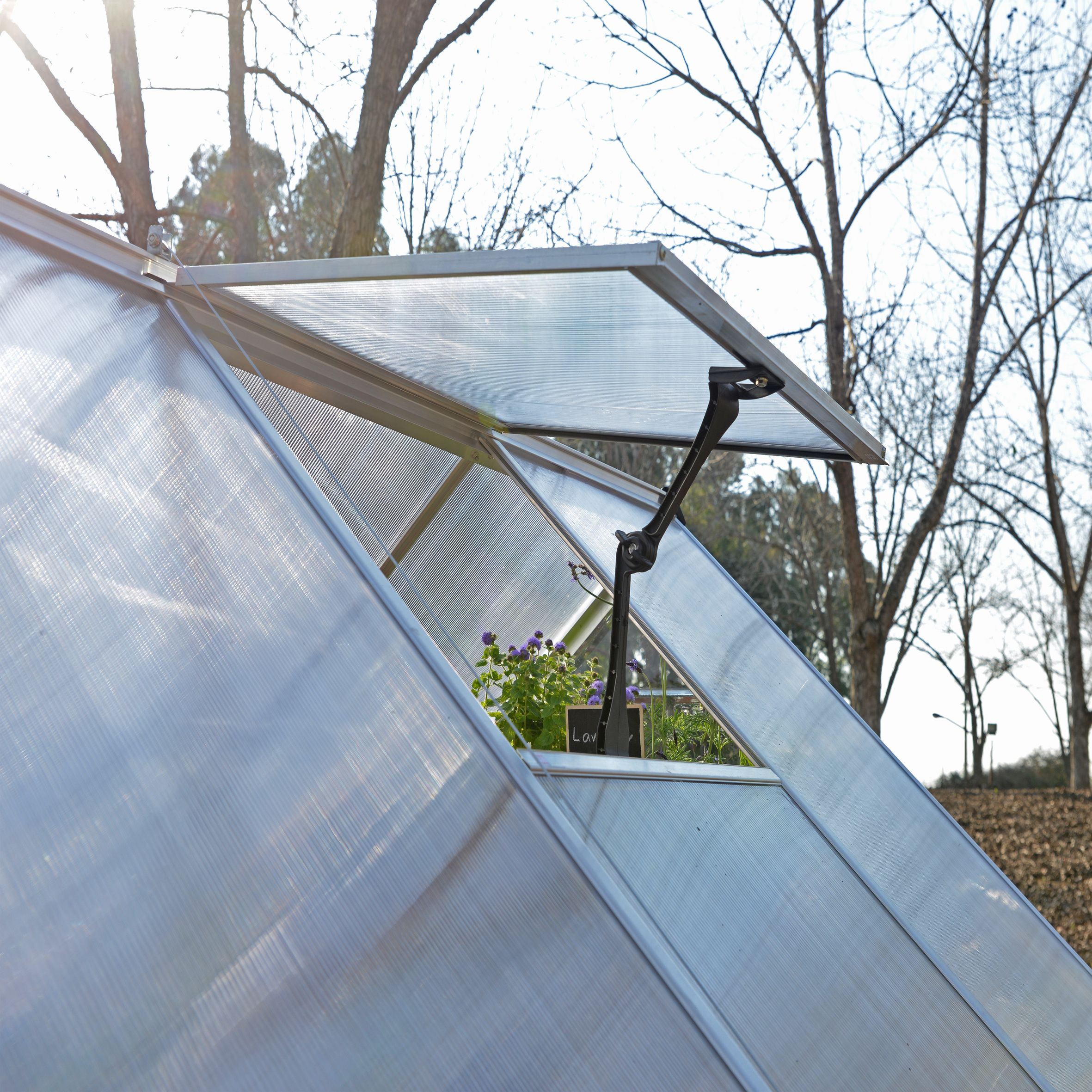 Palram - Canopia Balance Silver 8x12 Greenhouse