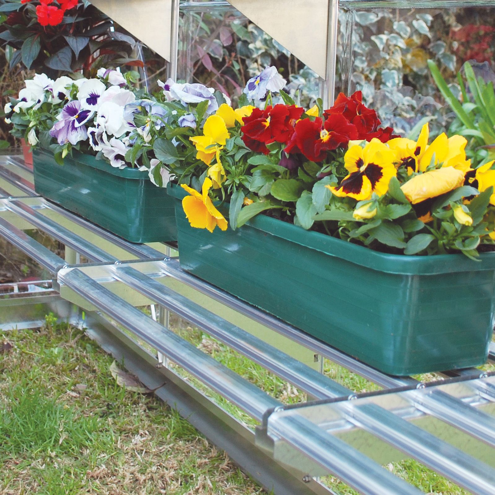 Palram - Canopia Heavy duty 1 tier Greenhouse shelving