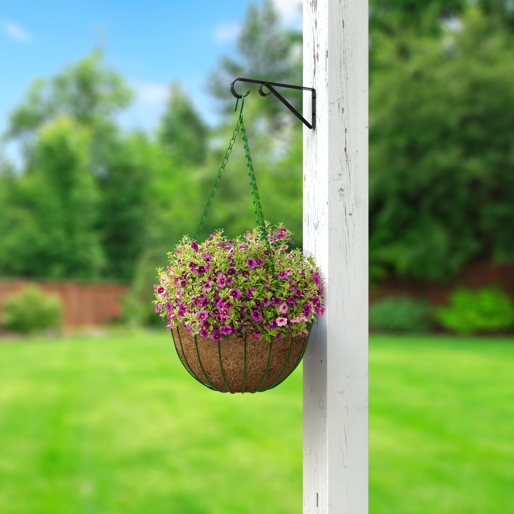 Panacea Basic Black Round Coco liner & metal frame Hanging basket, 35cm