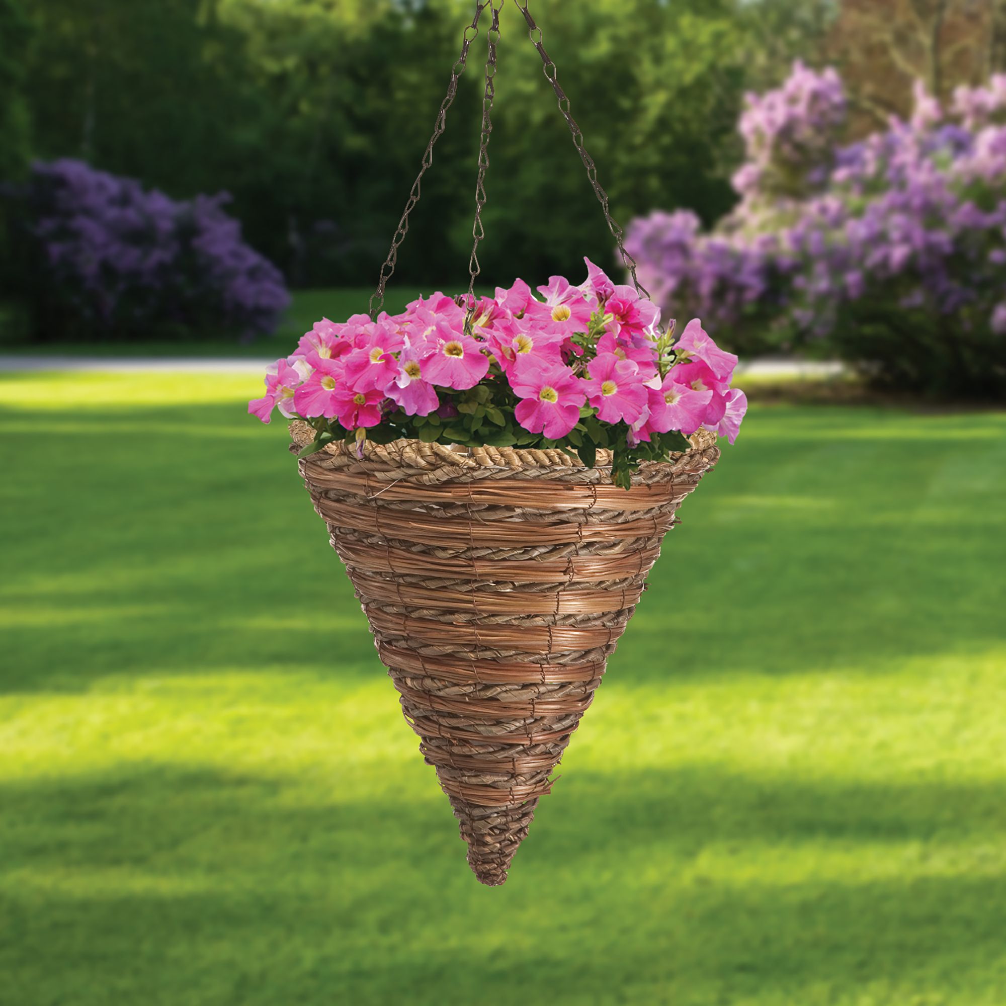 Fern store hanging basket