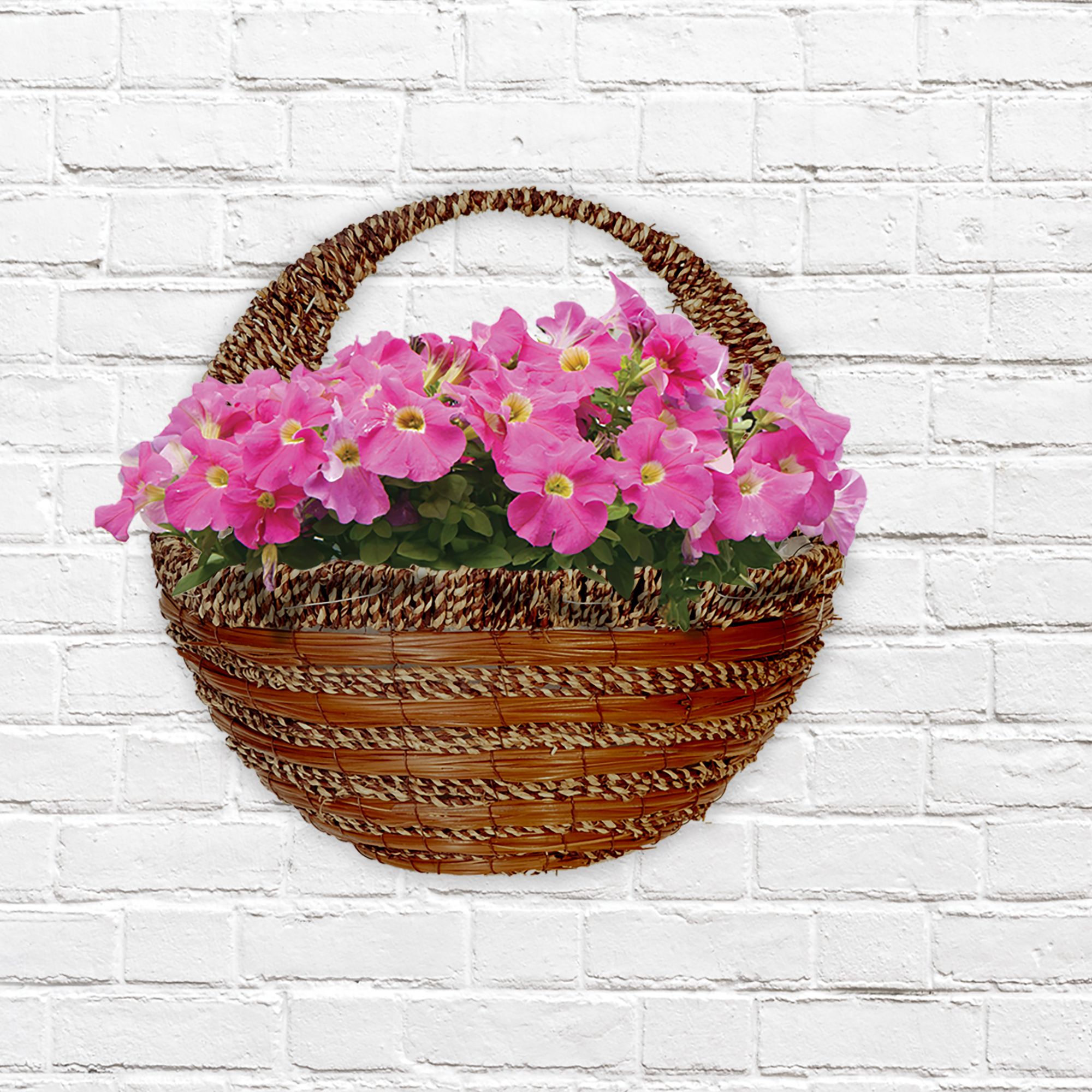 Panacea Fern & rope Natural Semi-circle Rattan Hanging basket, 40cm