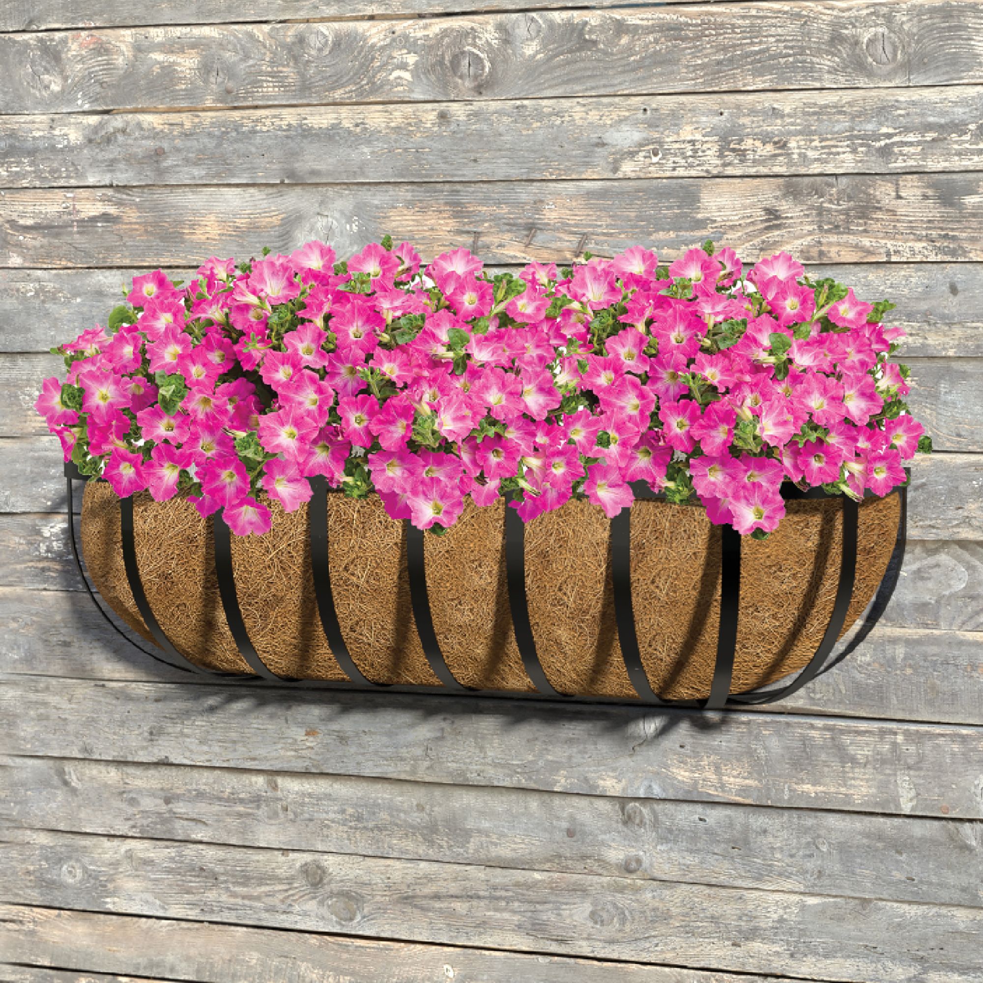 Panacea Hanging Garden Black Wall Rectangular Trough