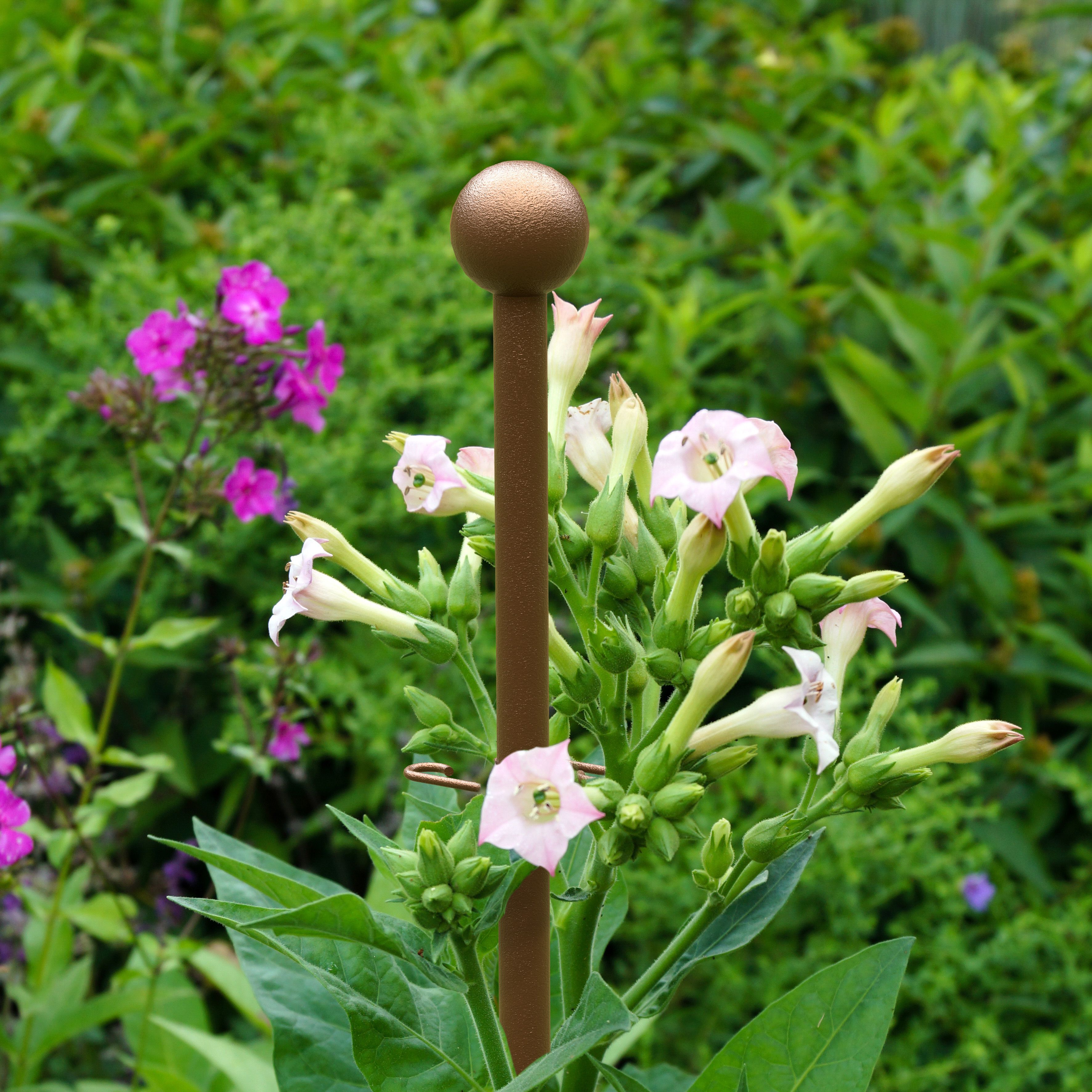 Panacea Steel Ball top Plant support (L)106cm (Dia)4cm