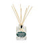 Paradise palm & coconut Reed diffuser
