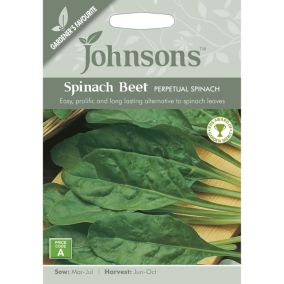 Perpetual Spinach Seed