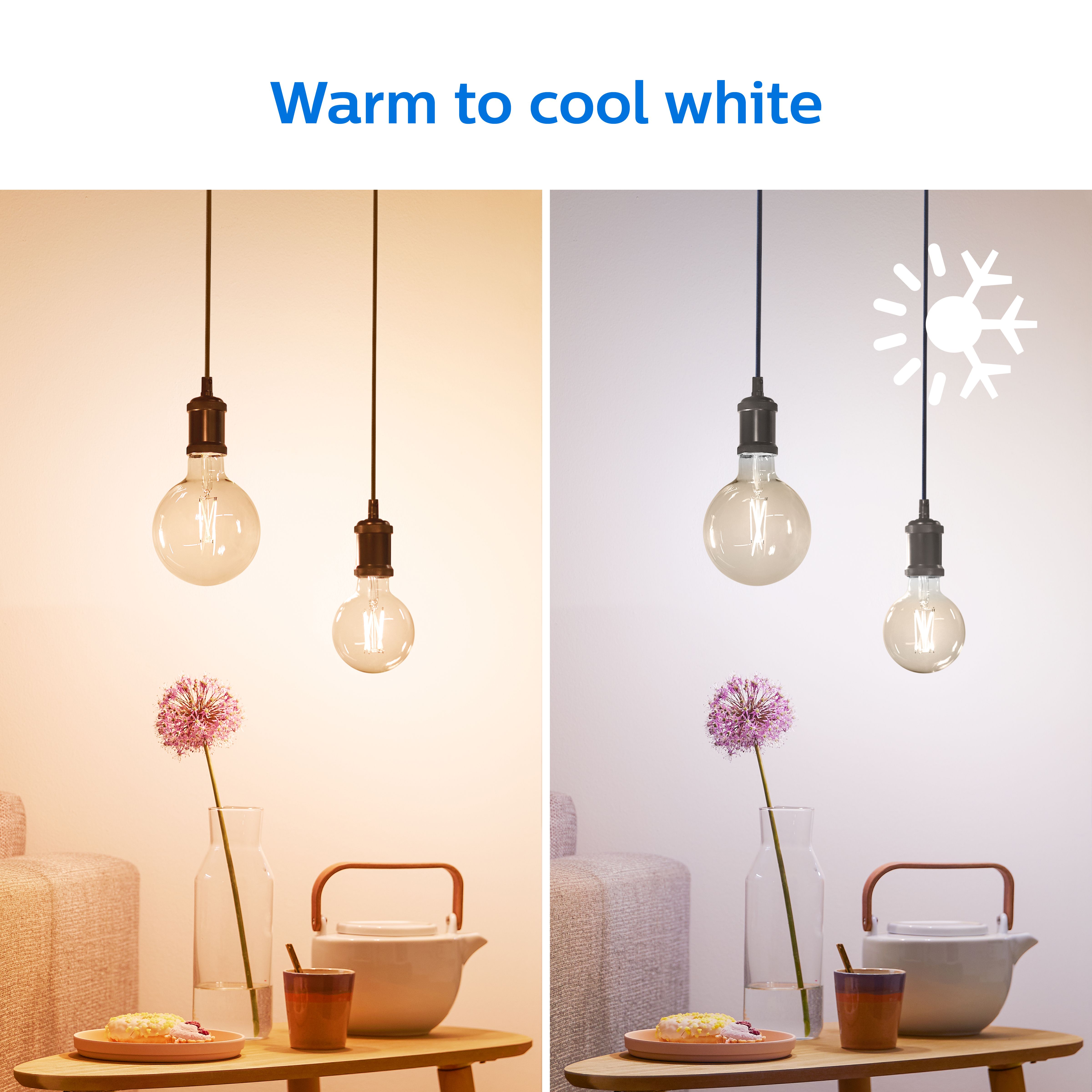 Philips PhilipsSmart G80 E27 50W LED Cool white & warm white Globe Dimmable Filament Smart Light bulb