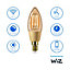 Philips PhilipsSmart SES 25W LED Cool white & warm white C35 Dimmable Filament Smart Light bulb