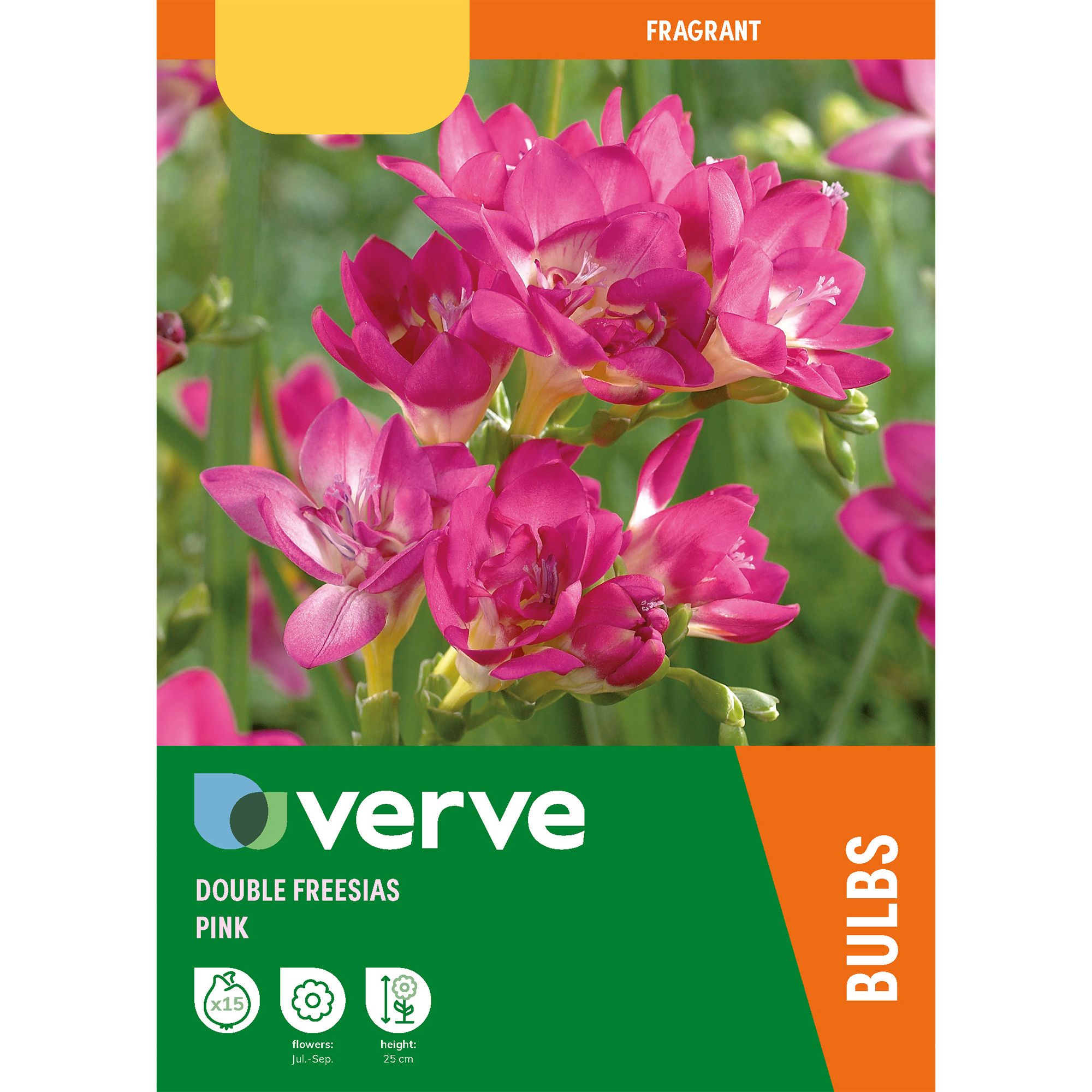 Pink Double Freesias Flower bulb, Pack of 15
