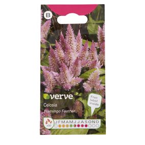 Pink seed Celosia Seed