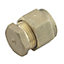 Plumbsure Brass Compression Stop end (Dia)12mm