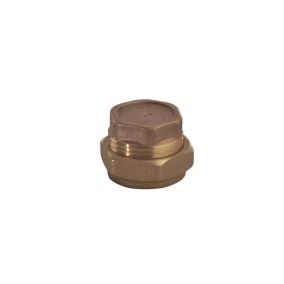 Plumbsure Brass Compression Stop end (Dia)28mm