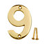 Polished Brass effect Metal House number 9, (H)75mm (W)48mm