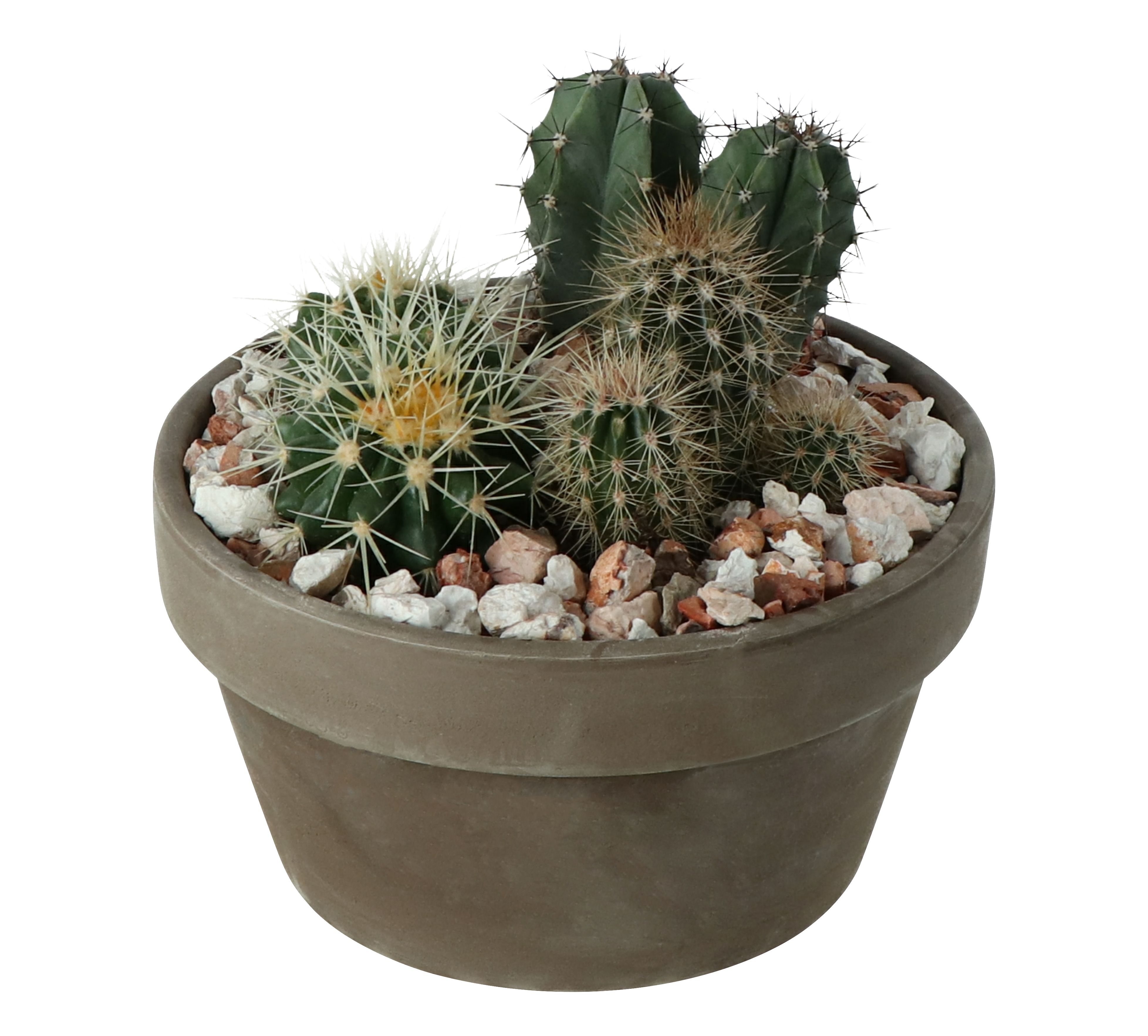 Pot | Tradepoint