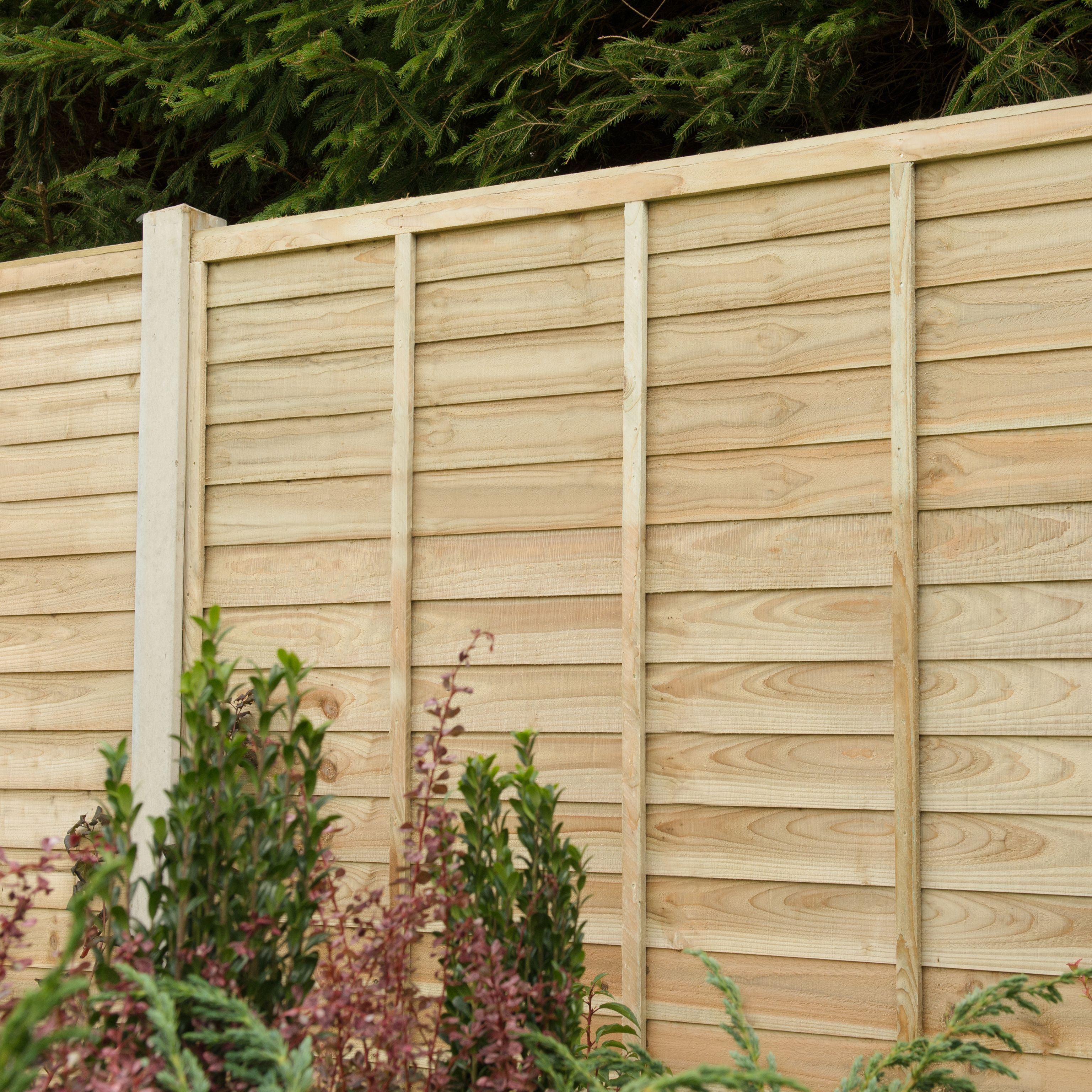 Premier Overlap Lap Pressure treated 5ft Wooden Fence panel (W)1.83m (H)1.52m, Pack of 5