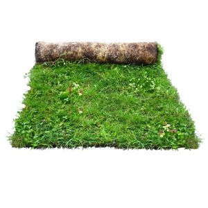 Image of Meadowmat Wildflower turf 20m² Pack