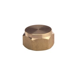 Image of Plumbsure Brass Compression Cap (Dia)19mm