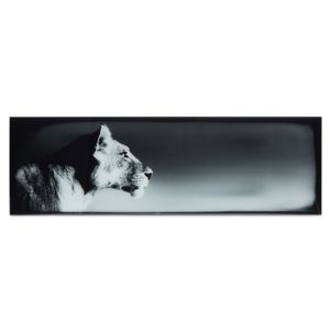 Image of 3279396123397 LION GLASS