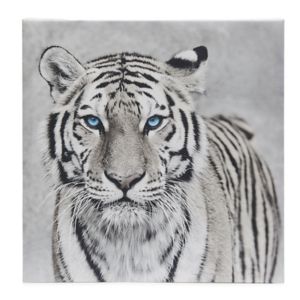 Image of Tiger Black & white Canvas art (H)450mm (W)450mm