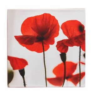 Poppies Red Canvas Art (H)550mm (W)550mm