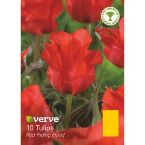 Image of Tulip Red riding hood Bulbs