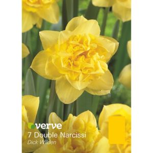 Image of Double narcissi Dick wilden Bulbs