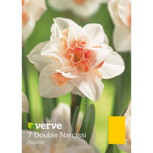Image of Double narcissi Replete Bulbs