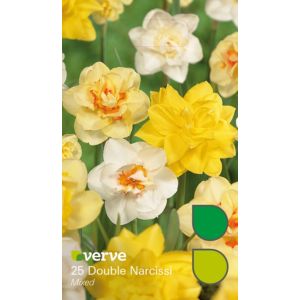 Image of Double narcissi Mixed Bulbs