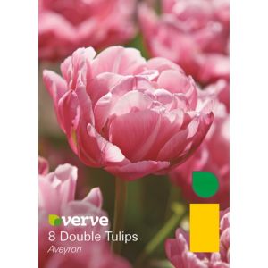Image of Double tulip Aveyron Bulbs