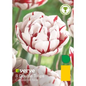 Image of Double tulip Carnaval de nice Bulbs