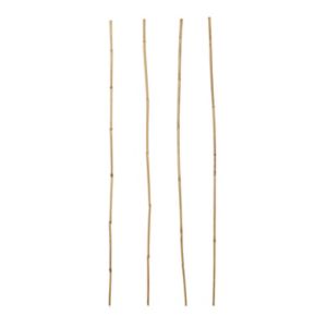 Image of Verve Bamboo Cane 90cm Pack of 15