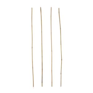 Image of Verve Bamboo Cane 120cm Pack of 20
