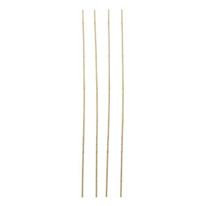 Image of Verve Bamboo Cane 240cm Pack of 10