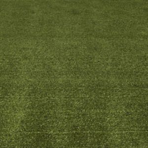 Boronia Artificial Grass 8M² (T)8mm Green
