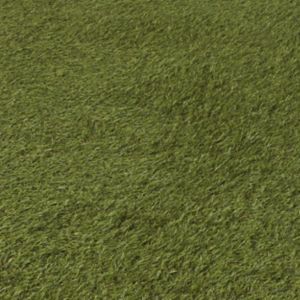 Image of Dennis Artificial grass 4m² (T)22mm