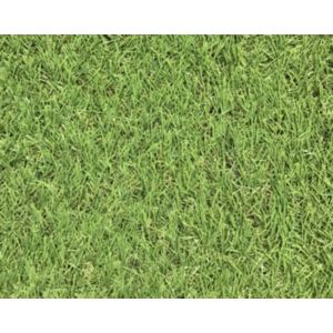 Artificial Grass Green & Beige