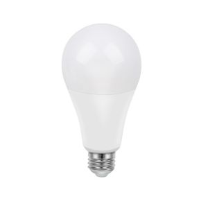 Image of Diall E27 22W 2452lm GLS Warm white LED Light bulb