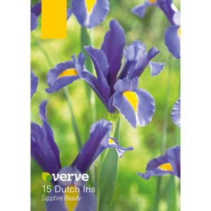 Image of Dutch Iris Sapphire Beauty Bulbs Pack of 15