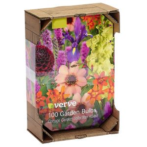 Image of Cottage garden mixed Flower bulb