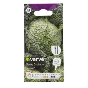 Image of Savoy Cabbage Vertus 2 Seed