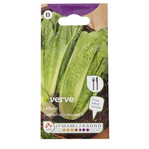 Image of Lentissima a montare 3 lettuce Seed