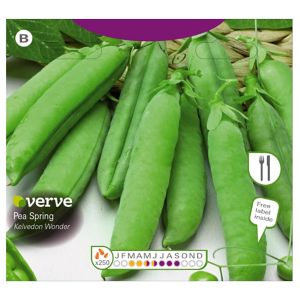 Image of Kelvedon Wonder peas Seed