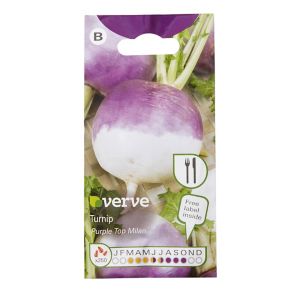 Image of Purple Top Milan turnip Seed
