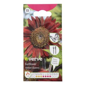 Image of Velvet queen Sunflower Seed